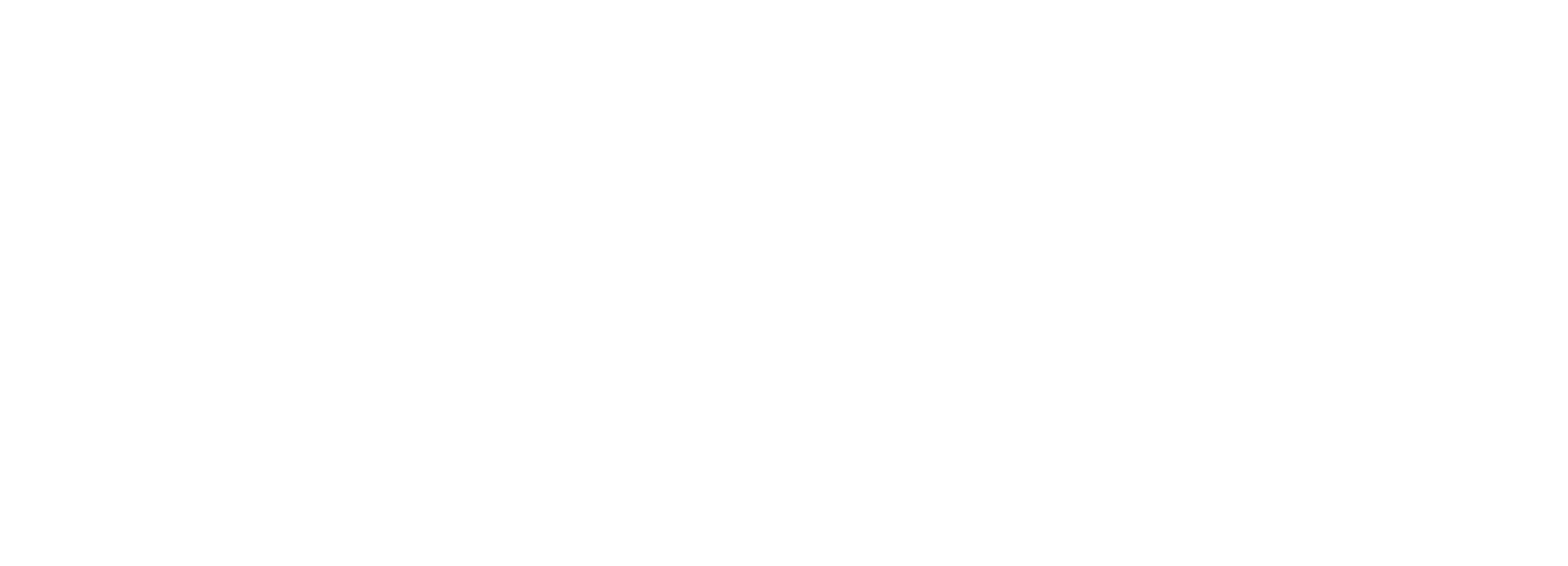 DEC40 Logo